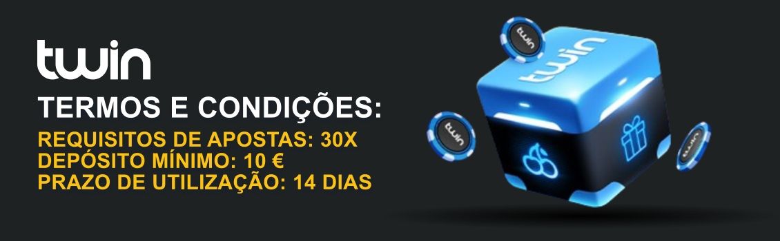 Twin termos e condições