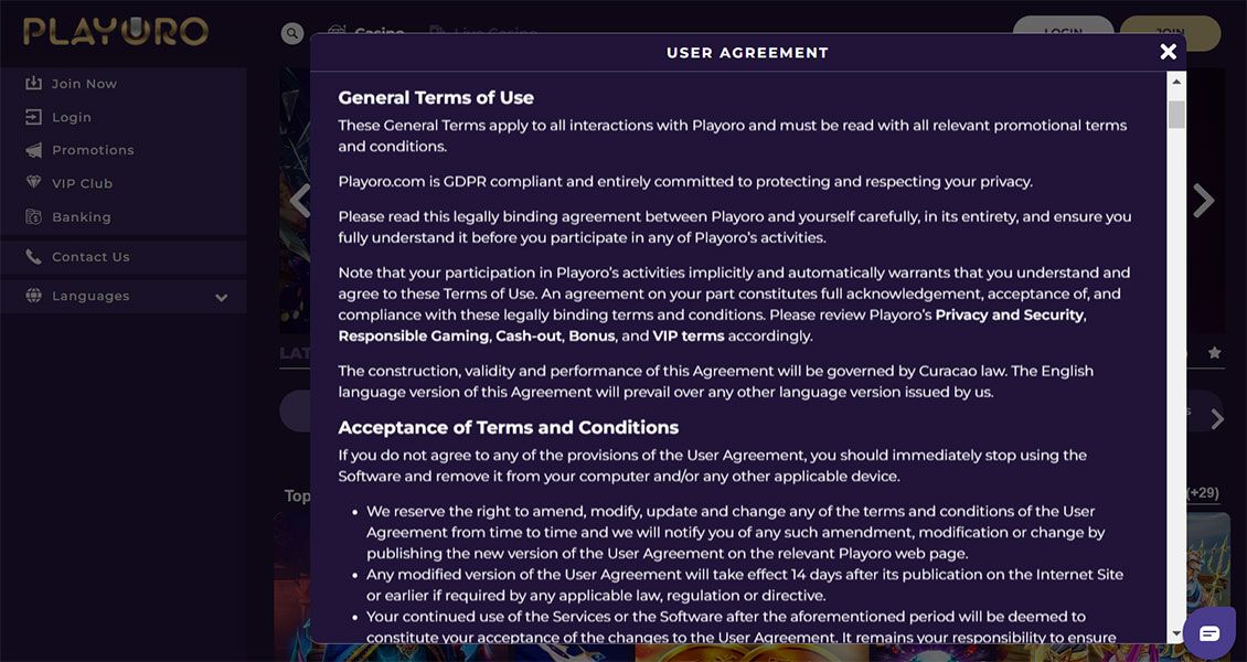 Tela da página de Termos e Condições do Playoro