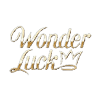 Logótipo do Wonderluck Casino