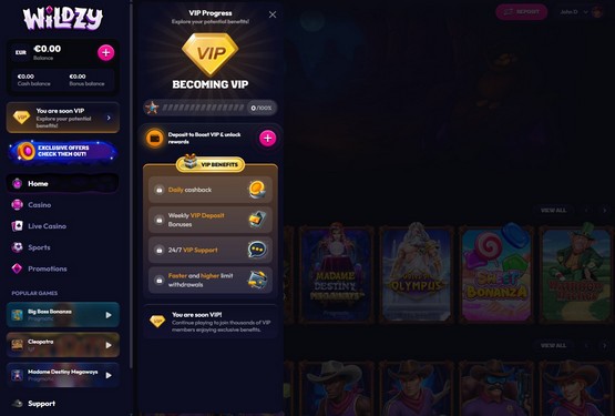 Wildzy casino VIP