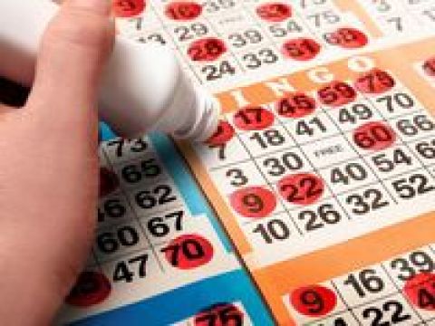 Bingo