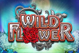 wild flower slot game logo
