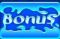 bonus