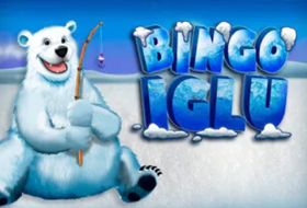 bingo iglu