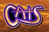 Cats​ - imagem