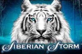 siberian storm logo new