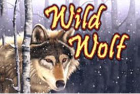 Wild Wolf Revisão