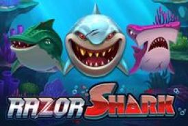 Razor Shark Revisão