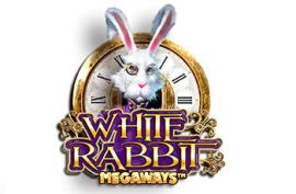 white rabbit