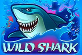 Wild Shark Revisão