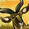 antilope